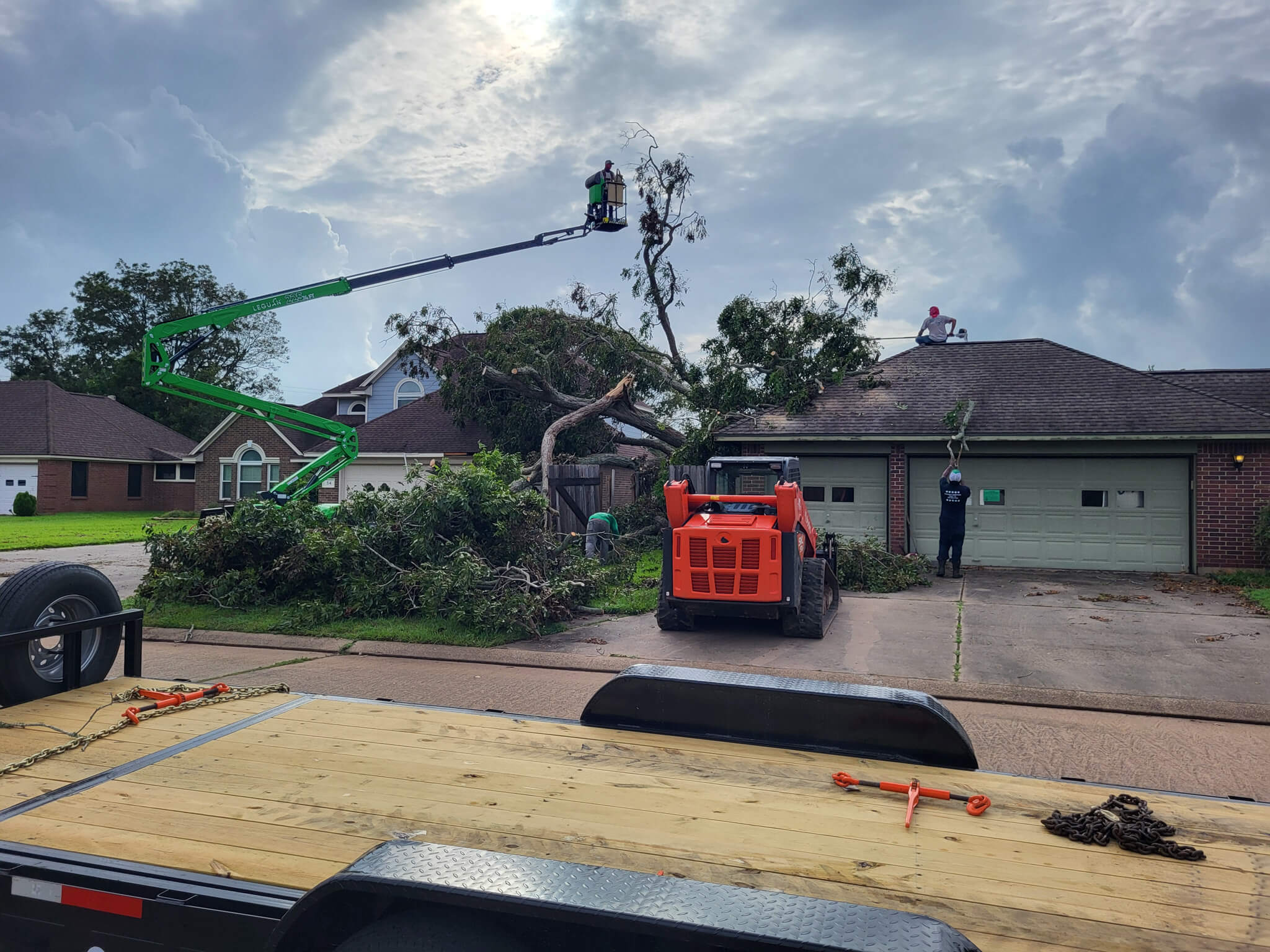 Large tree being cleared from a house