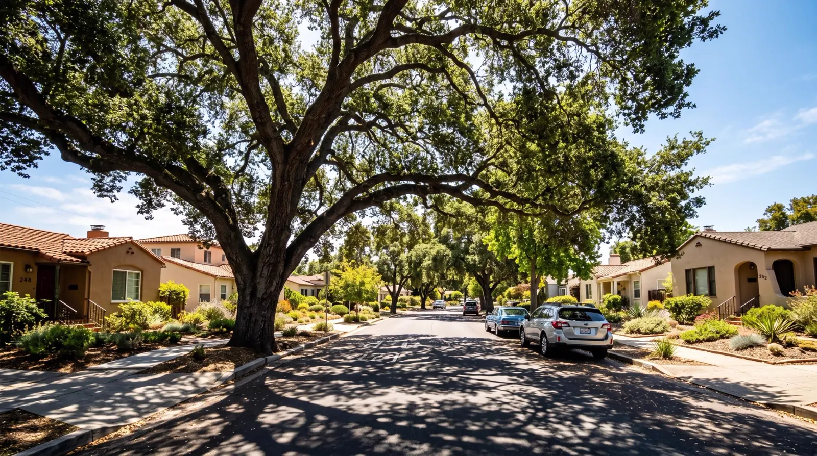 Mature oak with planted garden beds, concrete walkways and a driveway