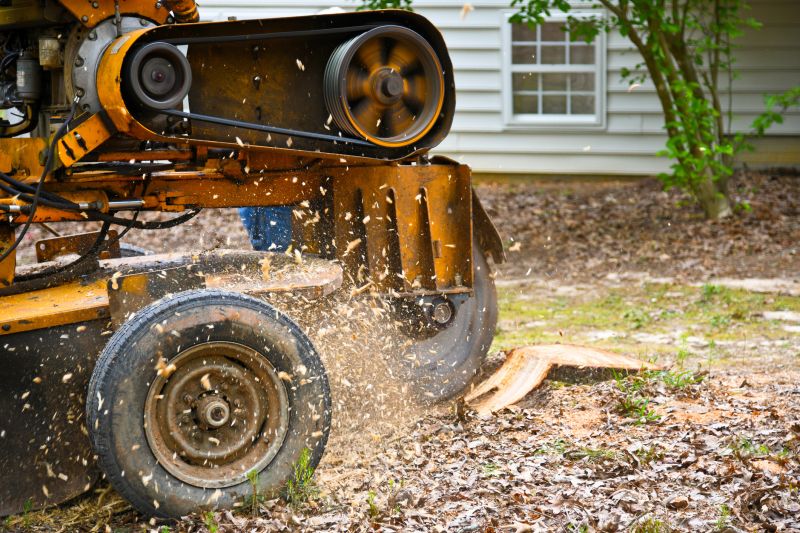 Stump grinder chewing a tree stump down below ground level